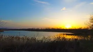 Рыбалка на карася. На что клюет карась весной! Рыбалка на донку. Ловля карася в марте. Рыбалка 2020