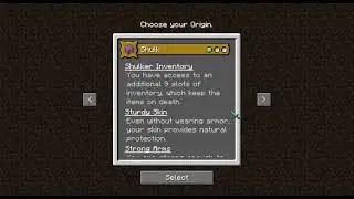Minecraft origins mod 1.16.5