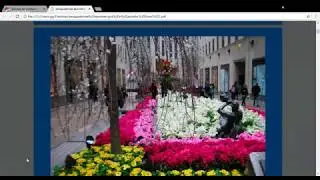 Композиция  в ландшафтной архитектуре и дизайне"