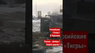 27 февраля 2022 г.