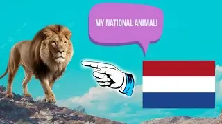 How Does A Country Select It's National Animal?
