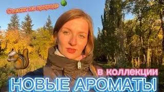 НОВЫЕ АРОМАТЫ | съемки на природе, рассуждения об АВИТО ДОСТАВКЕ