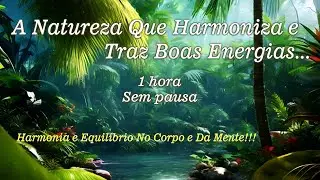 Serenidade Após a Chuva — Relaxe Agora!!! ⚖️ 🌧️ 🔉 🎶 🧘