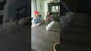 Sharpie cup trickshots #shorts#trickshot
