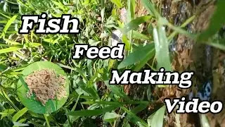 How to make fish feed( part 1)