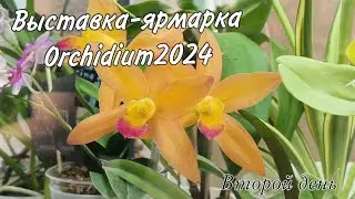 Orchidium || Orchid Fair in Moscow || Plant and New Products Review by Orchomir