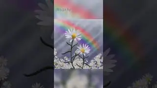 flower and rainbow #art #digital #drawing #digitalart #digitalartdrawing #flower #rainbow #short