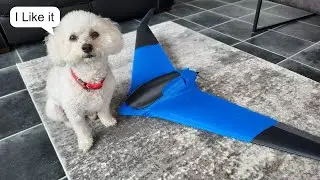 3d printing with Carbon PLA - rc airplance V-turn flying wing