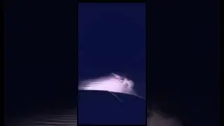 Почьти Готовы 
