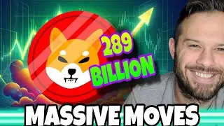 Shiba Inu Coin | 289 Billion SHIB On The Move Signal Bullish Signs!