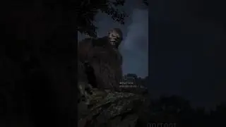 Cat meets Bigfoot