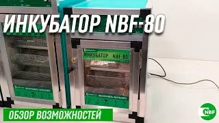 Инкубатор NBF-80