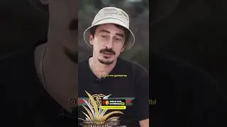 Серго про Badcomedian и его обзор / интервью Лауре Джугелия 