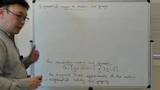 Exponential maps on matrix Lie groups