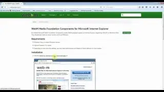 How to play webm format file in Windows Media Player