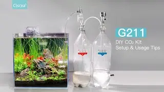 Clscea DIY CO2 kit setup and usage tips of G211