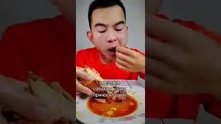 В каких странах едят кошек. 