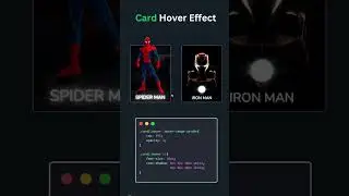 Card Hover Effect 