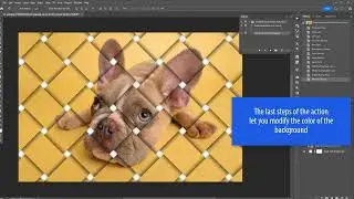 Interweaving Magic for Adobe Photoshop