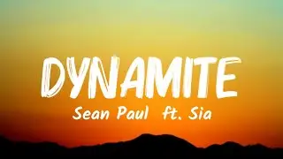 Sean Paul - Dynamite (Lyrics) ft. Sia