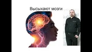 Атрофия головного мозга