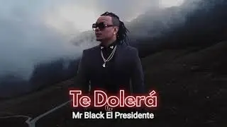 Te Dolerá - Mr Black