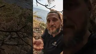 Würmer sind proteinreiches Survivalfood, reich an Proteinen. Wie schmecken sie? #survival