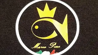the most expensive t-shirt in the world