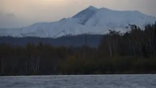 Гур 2022.