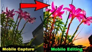 Trick 👉 Editing Like DSLR Only one Step || HDR Effect || Snapseed Photo Editing Tutorial