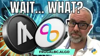 Why is Python on Algorand different than ICP (interent computer protocol)?