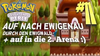 Pokémon Leuchtende Perle #11 [1080p @60FPS] - Durch den Ewigwald nach Ewigenau + in die 2. Arena!