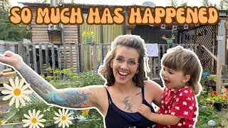 LIFE UPDATE || 6 People 2 Tiny Houses
