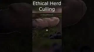 😂 Just More Ethical Herd Culling with the UTV in #wayofthehunter #shoosterarmy #shorts
