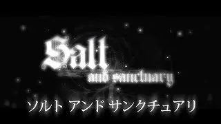 ソルト アンド サンクチュアリ Nintendo Switch