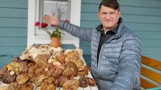 Грибы в Подмосковье. Осень 2021. Дорога без сюрпризов не обошлась!