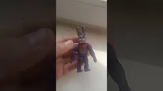 бони