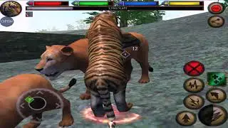 Tiger Of The Jungle VS Lion, Elephant, Gorilla, Crocodile, Ultimate Jungle Simulator