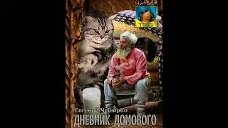 обзор книги дневник домового. Автор Евгений Чеширко