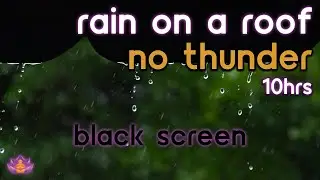 [Black Screen] Rain on Roof Sounds for Insomnia | Rain No Thunder | Rain Sounds for Sleeping