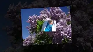 Наша Балабушка!