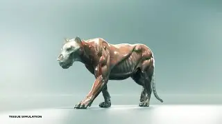 Zeke The Lion - Houdini Muscle Simulation
