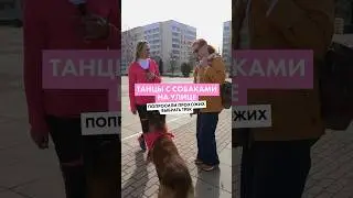 Танцуем для случайных прохожих. До конца ❤️‍🔥 #rock #queen #собака #танцы #дрессировка #собаки