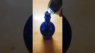 Money plant in old antiquity whiskey bottle