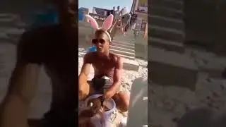 продавец креветок