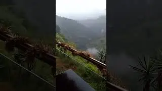 una gran neblina (1)