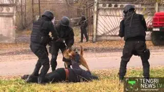 ''Террористы'' пытались захватить аэропорт под Алматы