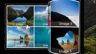 View Full Image in Table With Transition Animation - Using PowerPoint 2021