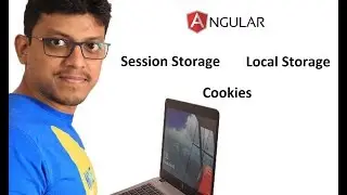 Cookies, Local storage and Session storage in Angular 5