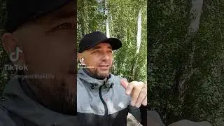 она обиделась (слово пацана) #она #обида #голова #словопацана @MrBeast @LikeNastyaofficial